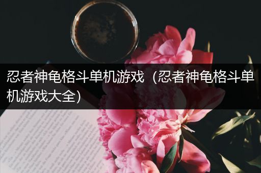 忍者神龟格斗单机游戏（忍者神龟格斗单机游戏大全）