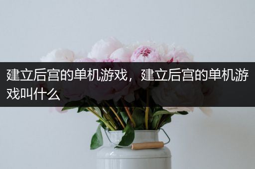 建立后宫的单机游戏，建立后宫的单机游戏叫什么