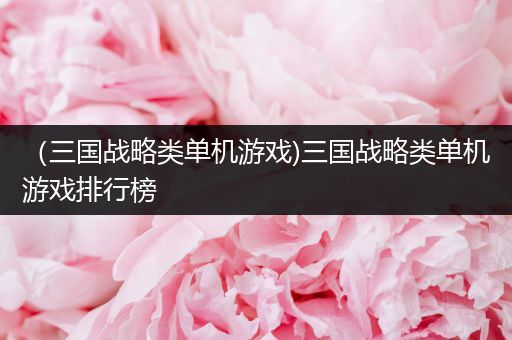 （三国战略类单机游戏)三国战略类单机游戏排行榜