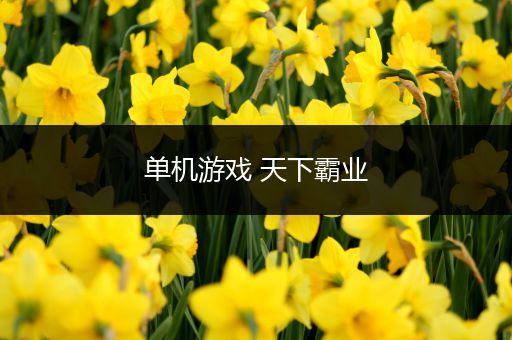 单机游戏 天下霸业