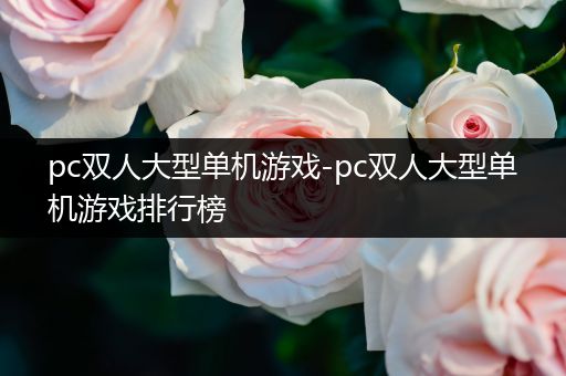 pc双人大型单机游戏-pc双人大型单机游戏排行榜