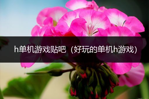 h单机游戏贴吧（好玩的单机h游戏）