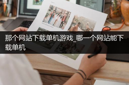 那个网站下载单机游戏_哪一个网站能下载单机