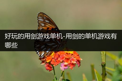 好玩的用剑游戏单机-用剑的单机游戏有哪些
