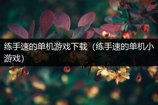 练手速的单机游戏下载（练手速的单机小游戏）