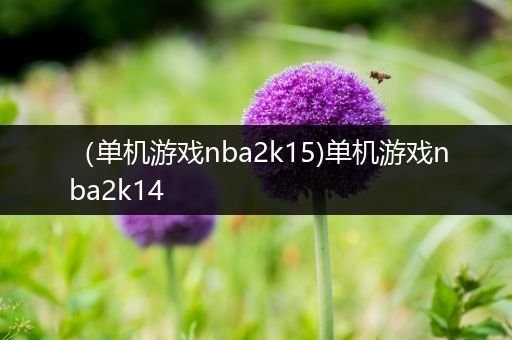 （单机游戏nba2k15)单机游戏nba2k14