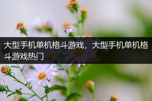 大型手机单机格斗游戏，大型手机单机格斗游戏热门
