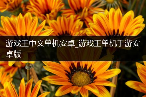 游戏王中文单机安卓_游戏王单机手游安卓版