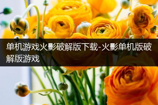 单机游戏火影破解版下载-火影单机版破解版游戏