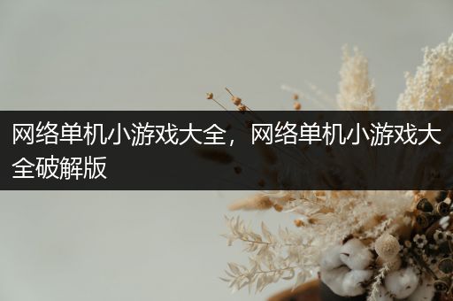 网络单机小游戏大全，网络单机小游戏大全破解版