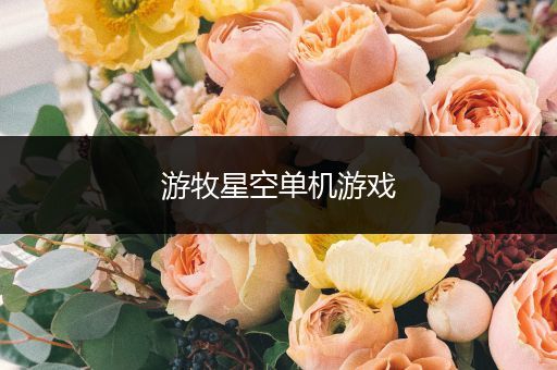 游牧星空单机游戏