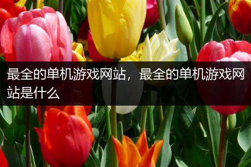 最全的单机游戏网站，最全的单机游戏网站是什么