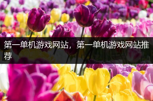 第一单机游戏网站，第一单机游戏网站推荐