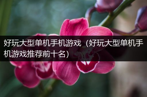 好玩大型单机手机游戏（好玩大型单机手机游戏推荐前十名）