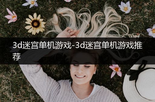 3d迷宫单机游戏-3d迷宫单机游戏推荐