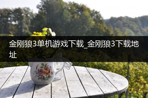 金刚狼3单机游戏下载_金刚狼3下载地址
