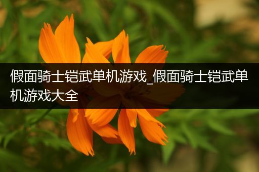 假面骑士铠武单机游戏_假面骑士铠武单机游戏大全