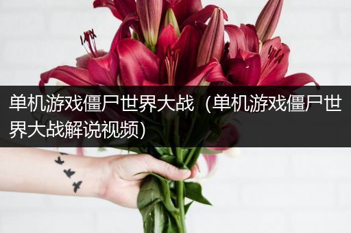 单机游戏僵尸世界大战（单机游戏僵尸世界大战解说视频）