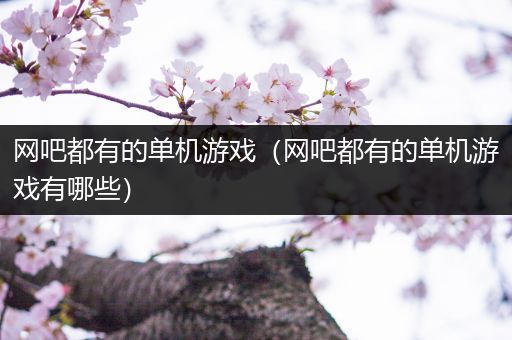 网吧都有的单机游戏（网吧都有的单机游戏有哪些）