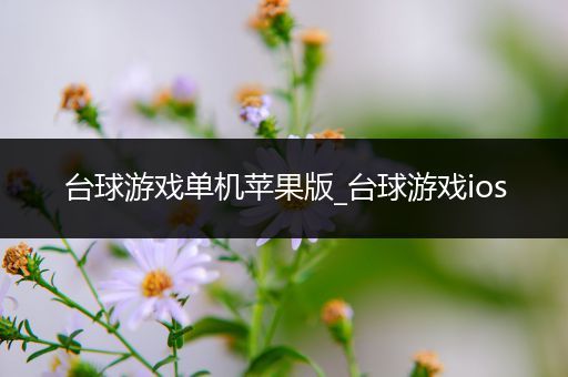 台球游戏单机苹果版_台球游戏ios