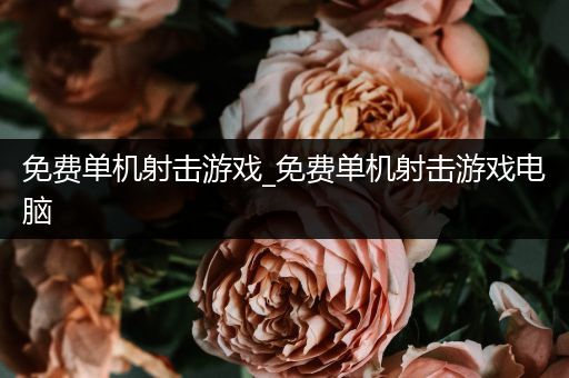 免费单机射击游戏_免费单机射击游戏电脑