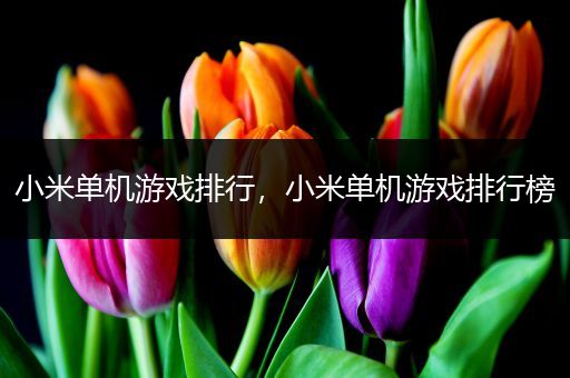 小米单机游戏排行，小米单机游戏排行榜