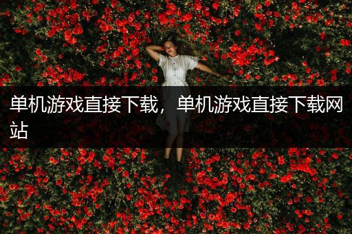 单机游戏直接下载，单机游戏直接下载网站