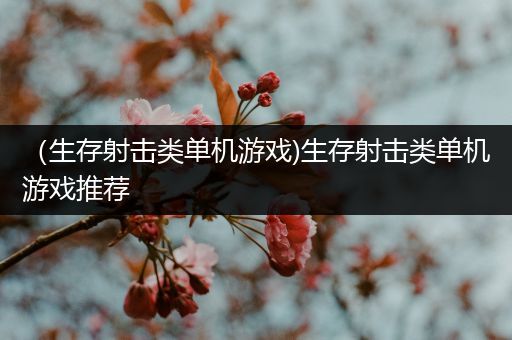 （生存射击类单机游戏)生存射击类单机游戏推荐