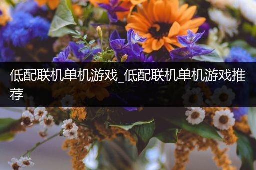 低配联机单机游戏_低配联机单机游戏推荐