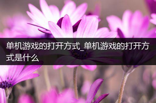 单机游戏的打开方式_单机游戏的打开方式是什么