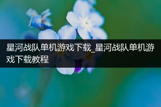 星河战队单机游戏下载_星河战队单机游戏下载教程