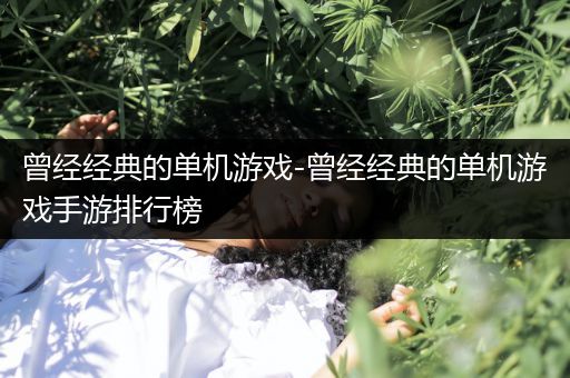 曾经经典的单机游戏-曾经经典的单机游戏手游排行榜