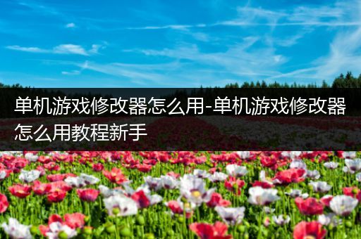 单机游戏修改器怎么用-单机游戏修改器怎么用教程新手