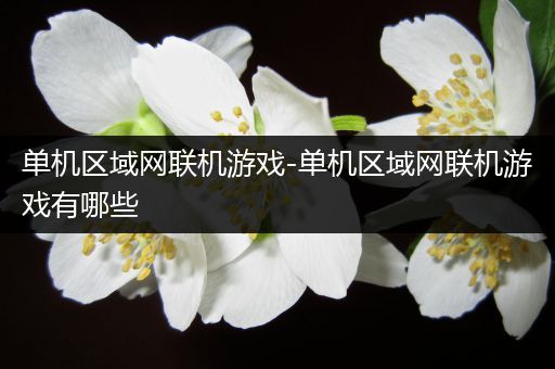 单机区域网联机游戏-单机区域网联机游戏有哪些