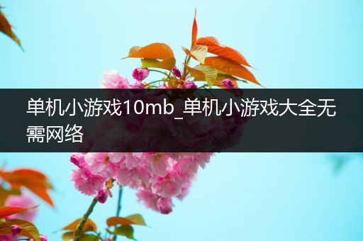 单机小游戏10mb_单机小游戏大全无需网络