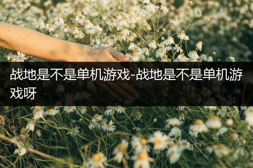 战地是不是单机游戏-战地是不是单机游戏呀