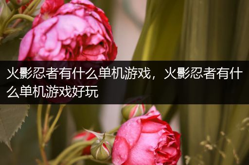 火影忍者有什么单机游戏，火影忍者有什么单机游戏好玩