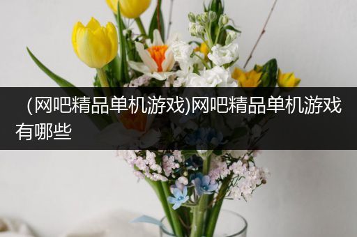 （网吧精品单机游戏)网吧精品单机游戏有哪些