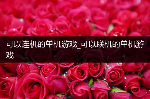 可以连机的单机游戏_可以联机的单机游戏