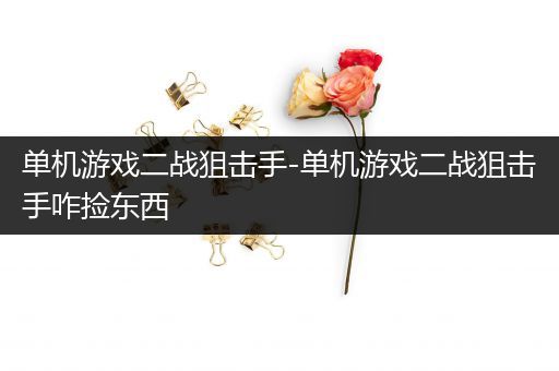 单机游戏二战狙击手-单机游戏二战狙击手咋捡东西