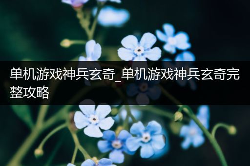 单机游戏神兵玄奇_单机游戏神兵玄奇完整攻略
