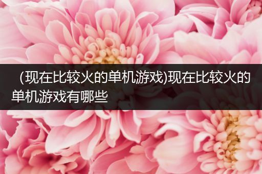 （现在比较火的单机游戏)现在比较火的单机游戏有哪些