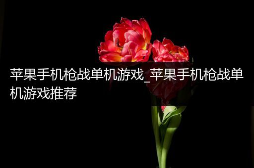 苹果手机枪战单机游戏_苹果手机枪战单机游戏推荐