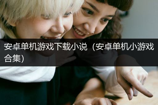 安卓单机游戏下载小说（安卓单机小游戏合集）