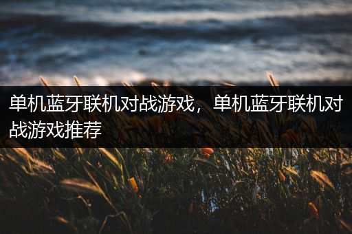 单机蓝牙联机对战游戏，单机蓝牙联机对战游戏推荐