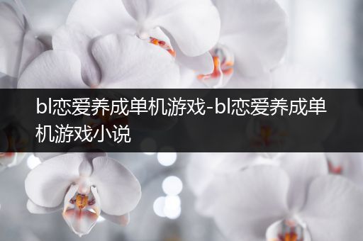 bl恋爱养成单机游戏-bl恋爱养成单机游戏小说