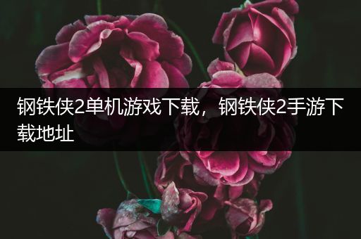 钢铁侠2单机游戏下载，钢铁侠2手游下载地址