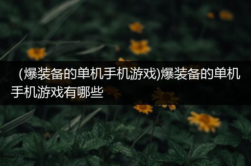 （爆装备的单机手机游戏)爆装备的单机手机游戏有哪些