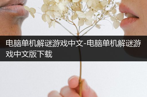 电脑单机解谜游戏中文-电脑单机解谜游戏中文版下载