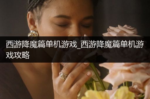 西游降魔篇单机游戏_西游降魔篇单机游戏攻略